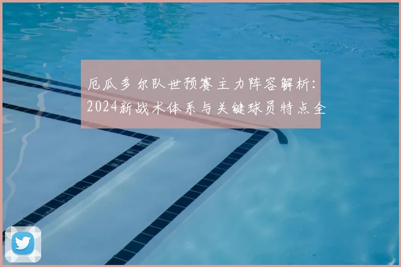 厄瓜多尔队世预赛主力阵容解析：2024新战术体系与关键球员特点全揭秘