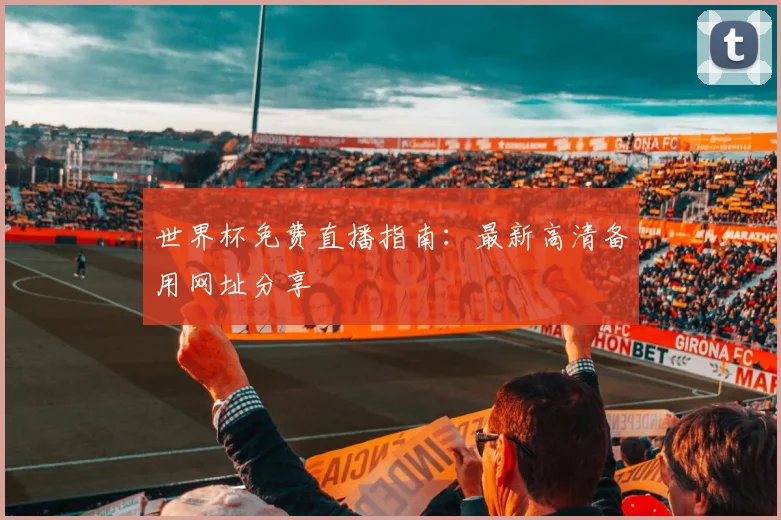 世界杯免费直播指南：最新高清备用网址分享