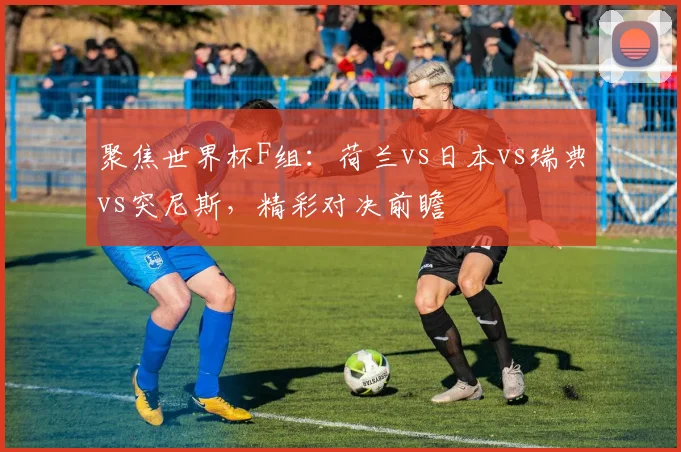 聚焦世界杯F组：荷兰vs日本vs瑞典vs突尼斯，精彩对决前瞻